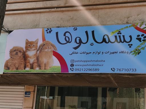 عکس پت شاپ پشمالوها