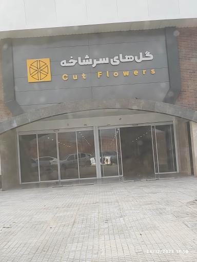 عکس سالن گل‌های سر شاخه 