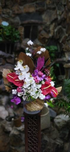 عکس گل دیبا