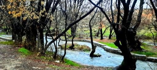 عکس چشمه قدمگاه
