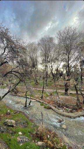 عکس چشمه قدمگاه