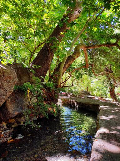 عکس چشمه قدمگاه