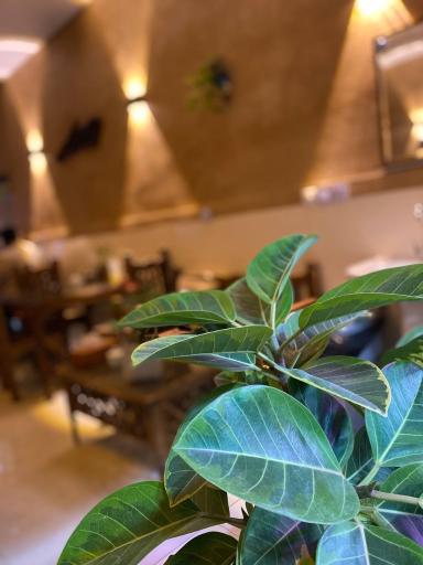 عکس اغذیه آتا