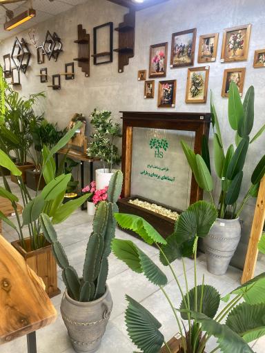 عکس همراهان سبز 