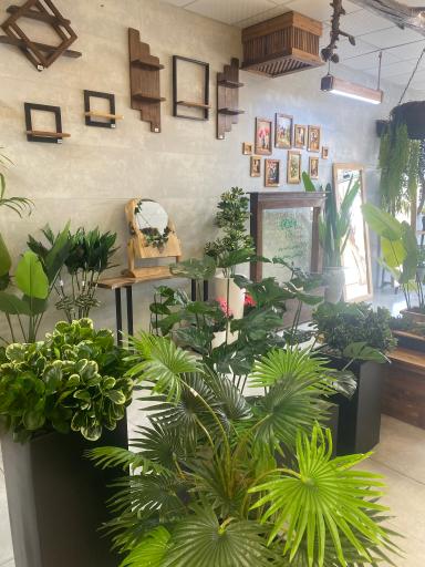 عکس همراهان سبز 