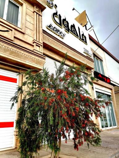 عکس صنایع چوب ماهون