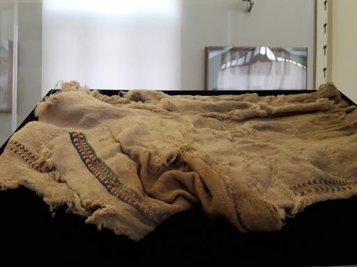 عکس موزه پیش از تاریخ