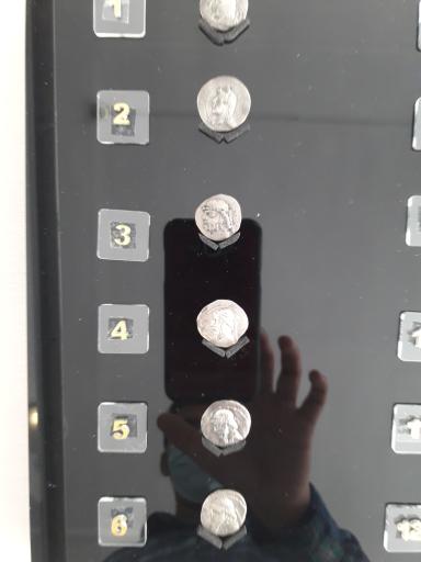 عکس موزه پیش از تاریخ