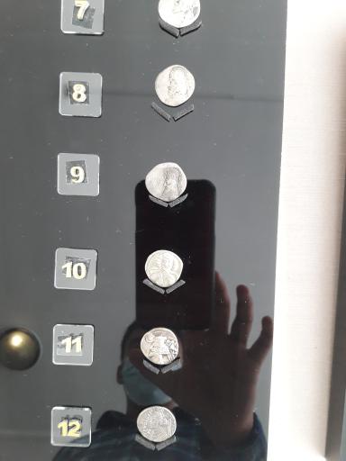 عکس موزه پیش از تاریخ