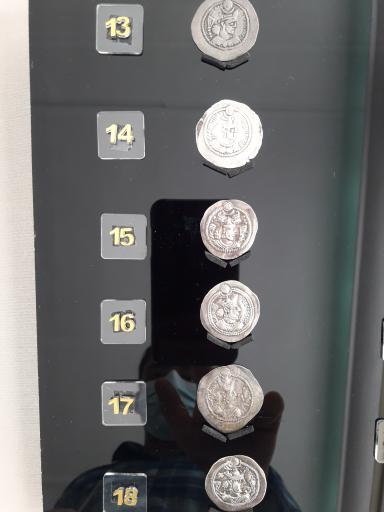 عکس موزه پیش از تاریخ