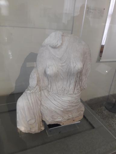 عکس موزه پیش از تاریخ