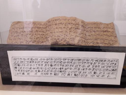 عکس موزه پیش از تاریخ