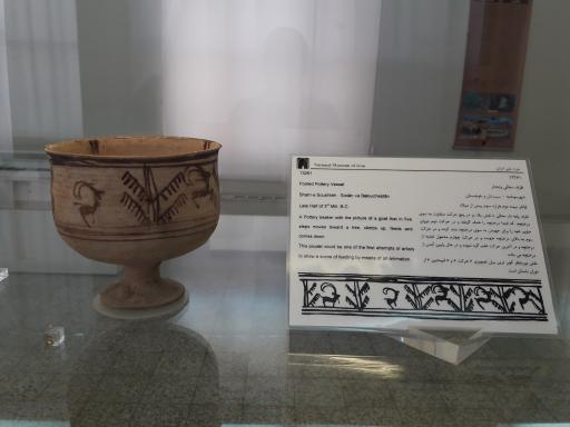 عکس موزه پیش از تاریخ