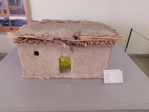 عکس موزه پیش از تاریخ