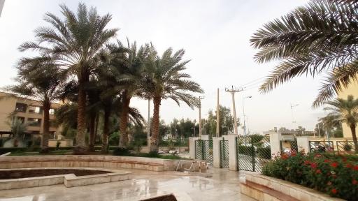 عکس مسجد ولایت