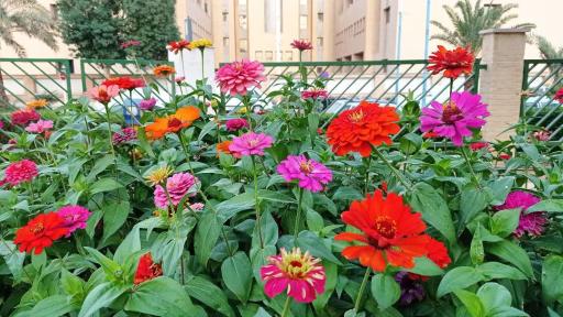 عکس مسجد ولایت