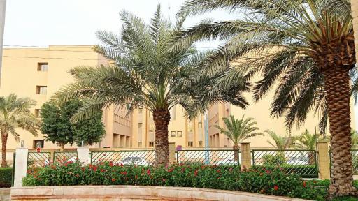 عکس مسجد ولایت