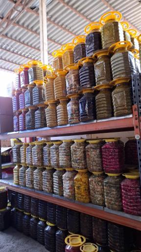 عکس عمده فروشی زیتون ترشیجات و ترشک لواشک ناصری