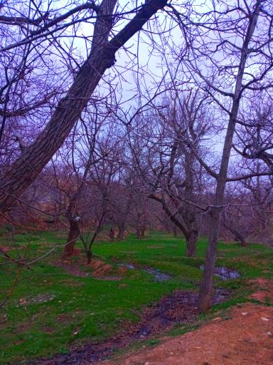 عکس خویین