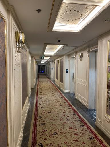 عکس هتل نگین مصلی