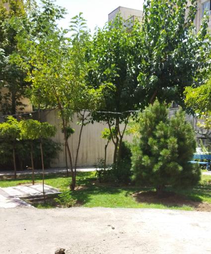 عکس پارک گندم زار