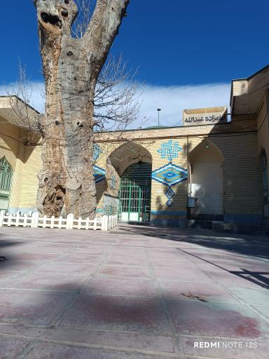 عکس امامزاده عبدالله (ع)