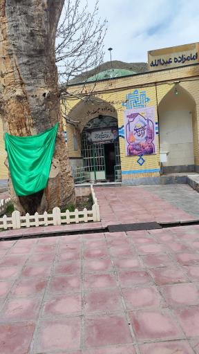عکس امامزاده عبدالله (ع)