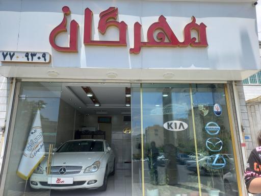 عکس اتو مهرگان