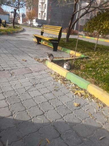 عکس پارک فرهنگ