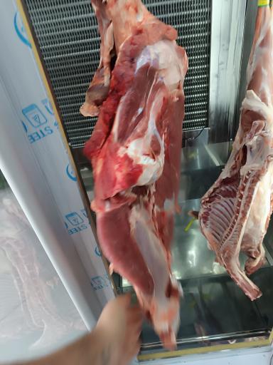 عکس سوپر پروتئین هنلند 