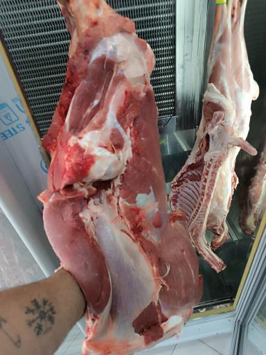 عکس سوپر پروتئین هنلند 