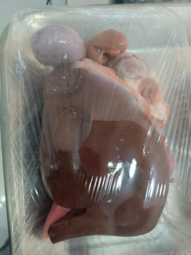 عکس سوپر پروتئین هنلند 