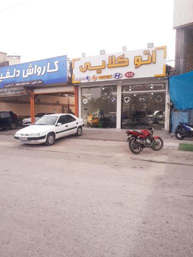 عکس کارواش دلفین