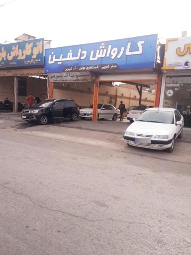 عکس کارواش دلفین