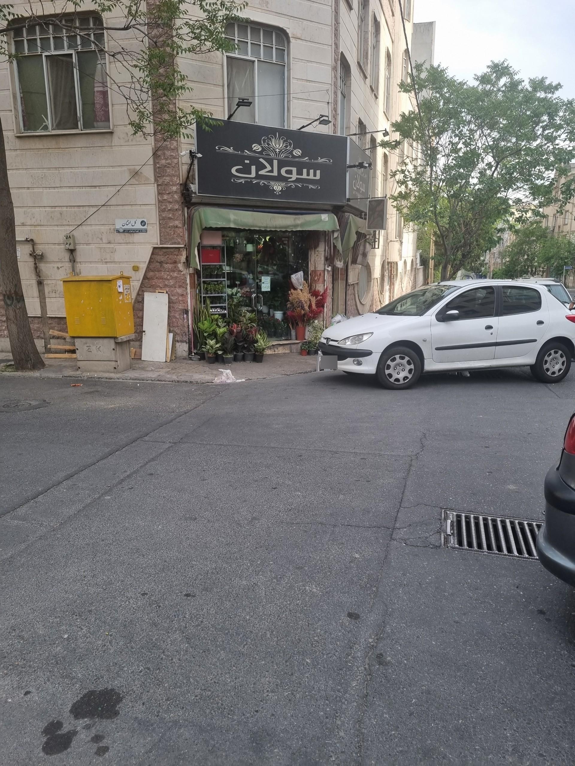عکس گل فروشی سولان
