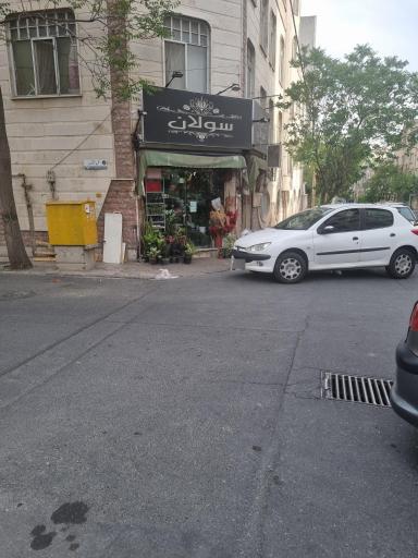 عکس گل فروشی سولان