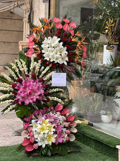 عکس گل فروشی امیر