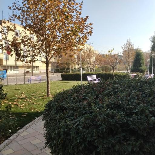 عکس فروشگاه شهرما