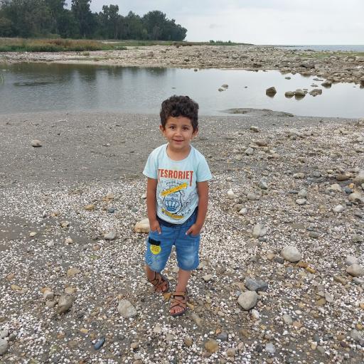 عکس پارک بام جنگلی ریوش