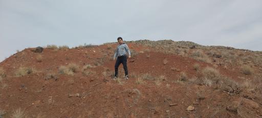 عکس پارک بام جنگلی ریوش