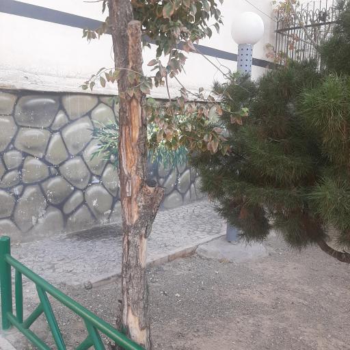 عکس بوستان گیلانه