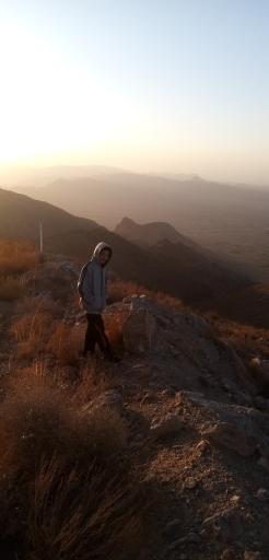 عکس پارک بام جنگلی ریوش