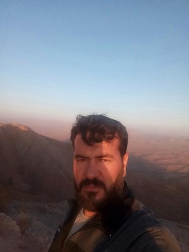 عکس پارک بام جنگلی ریوش