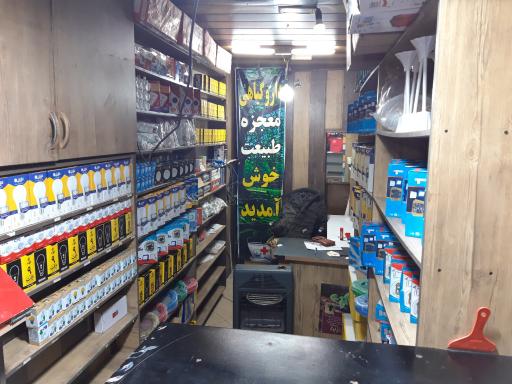 عکس الکتریکی قربانی