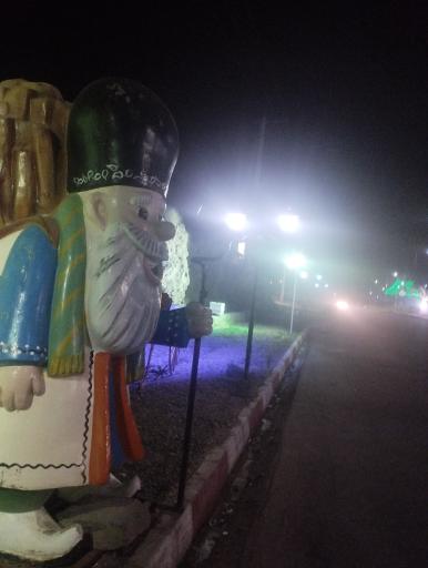 عکس پارک بام جنگلی ریوش