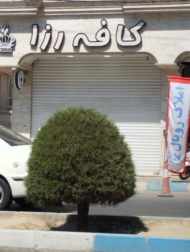 عکس کافه رزا