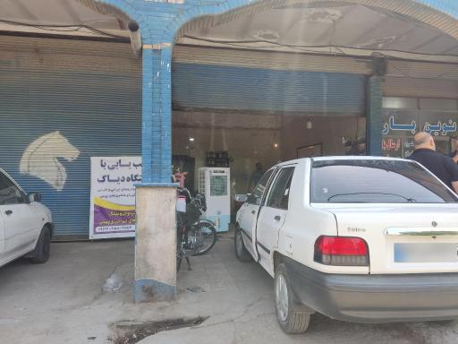 عکس برق خودرو پولادی