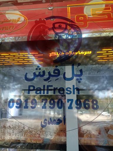 عکس پروتئین پُل فِرِش 