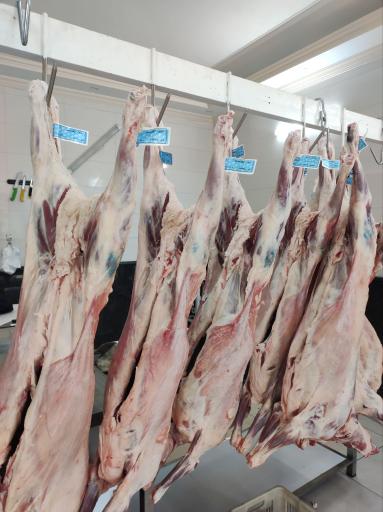 عکس سوپر گوشت قصاب باشی