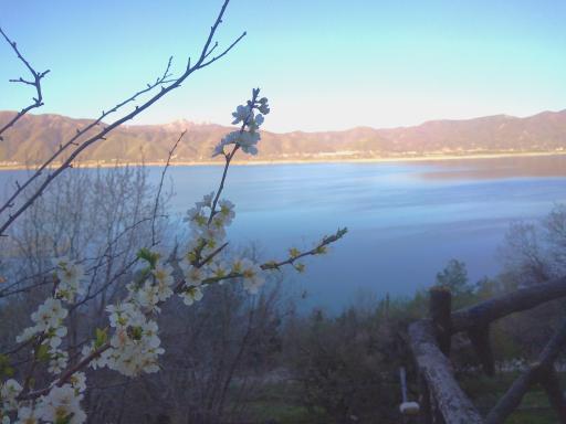 عکس هتل جهانگردی مریوان